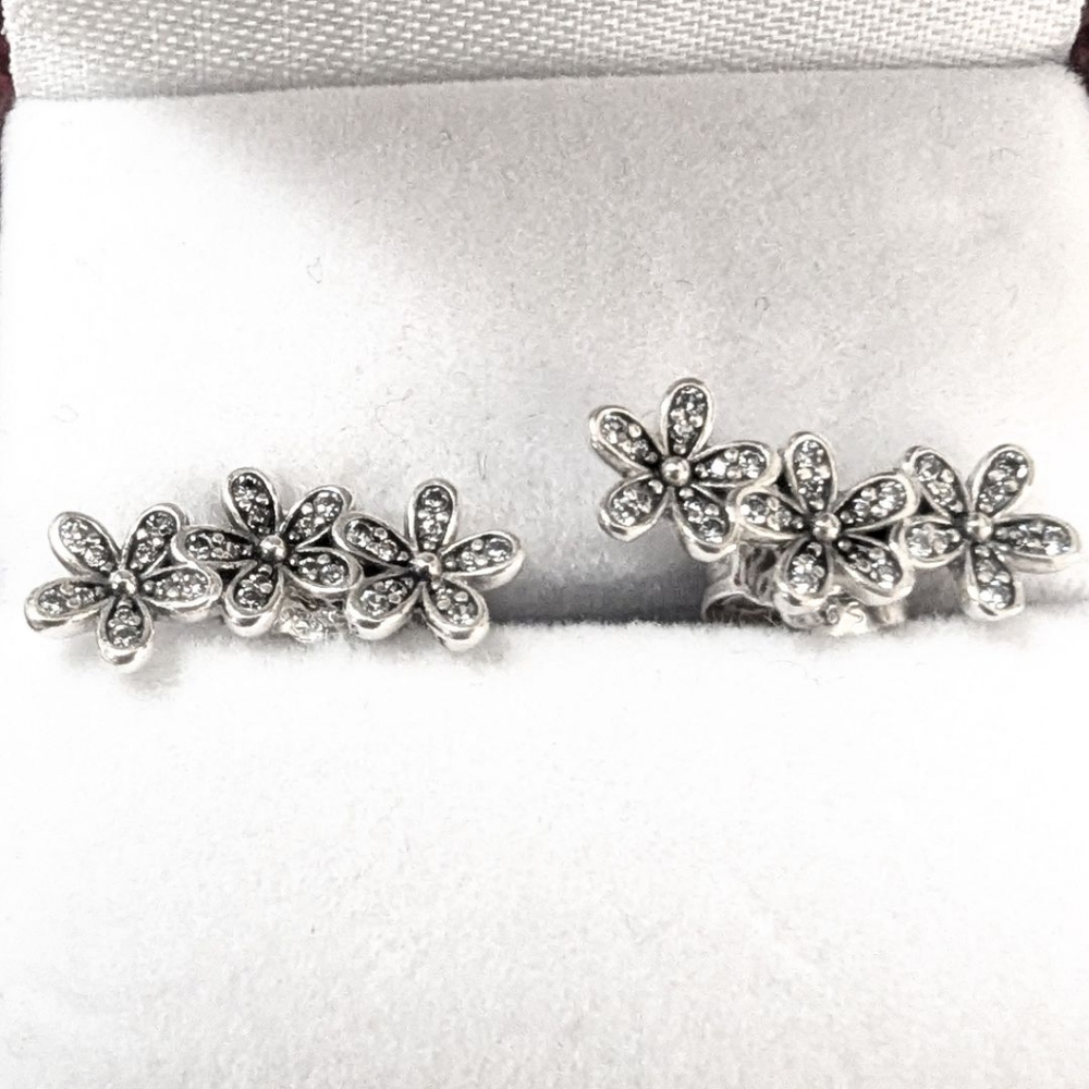 Pandora earrings